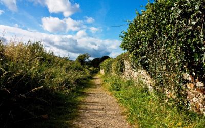 County Kilkenny Mass Paths and Holy Wells Survey